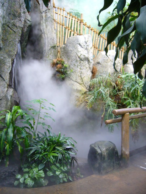 Canada-Alberta-Calgary-Zoo-Tropical_House-Fog_3_2112x2816.jpg