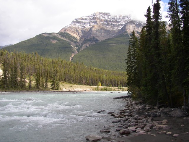 Canada-Alberta-Jasper_NPark-Athabasca_River-Before_Falls_1984x1488.jpg