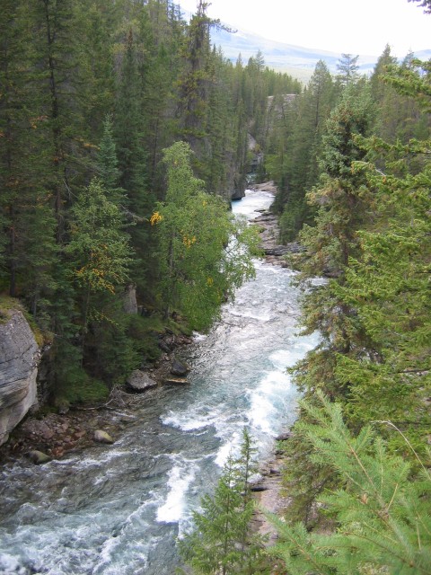 Canada-Alberta-Jasper_NPark-Maligne_Canyon-River_10_1704x2272.jpg