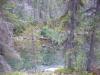 Canada-Alberta-Jasper_NPark-Maligne_Canyon-River_4_2816x2112_thumb.JPG