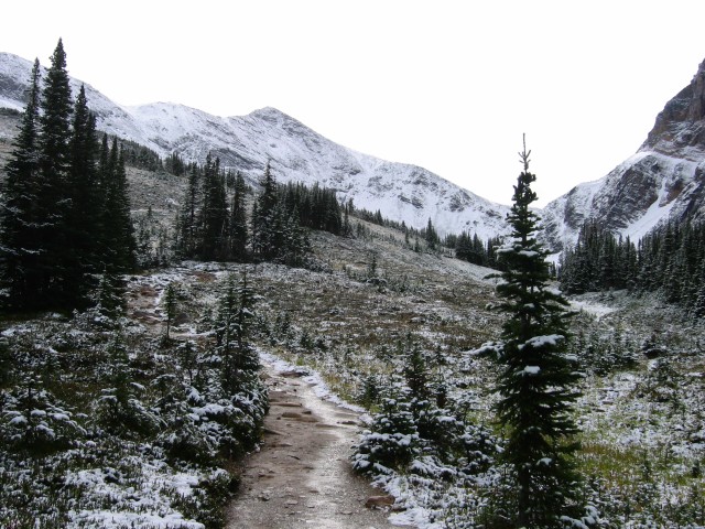 Canada-Alberta-Jasper_NPark-Mt_Edith_Cavell-Glacier_Trail-Snowy_4_2272x1704.jpg