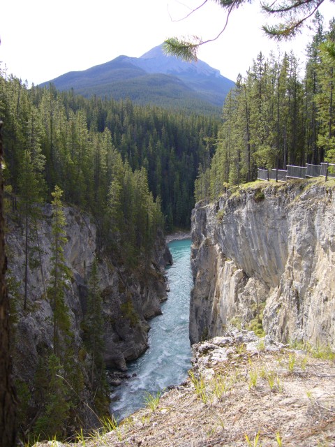 Canada-Alberta-Jasper_NPark-Sunwapta_Falls-Canyon_2_2112x2816.jpg