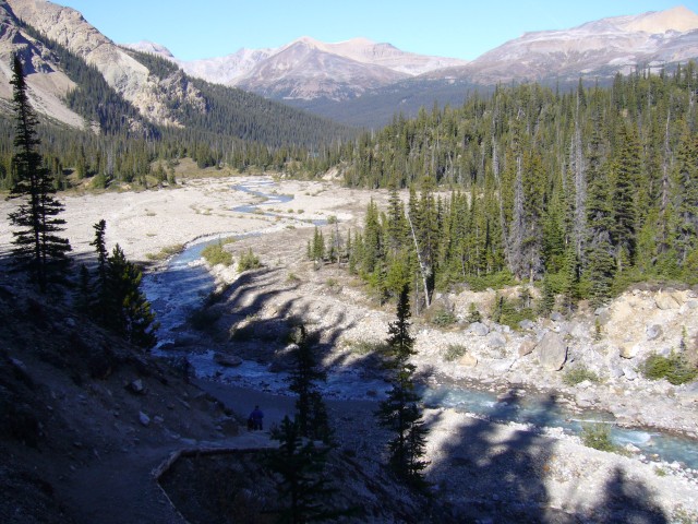 Canada-Alberta-Banff_NPark-Bow_lake-Glacier_Falls_Trail-Valley_with_river_5_2816x2112.jpg