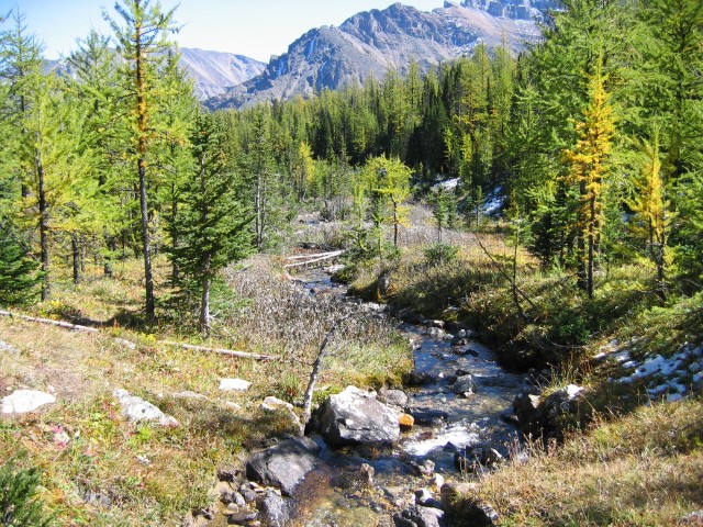 Canada-Alberta-Banff_NPark-Moriane_Lake-Larch_Valley-Little_river_4_2272x1704.jpg