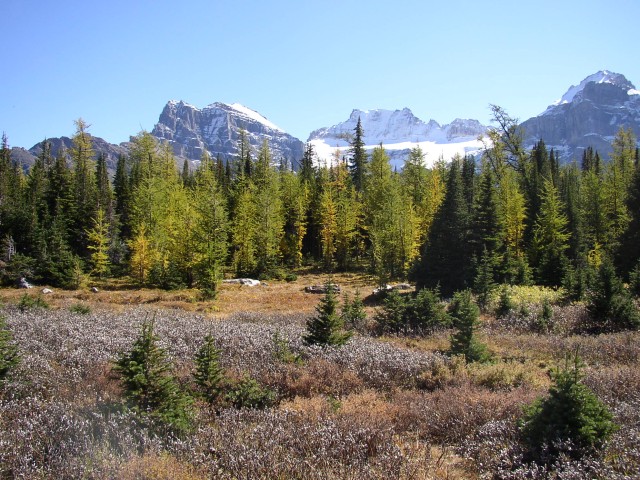 Canada-Alberta-Banff_NPark-Moriane_Lake-Larch_Valley-Mtn_background_2_1984x1488.jpg