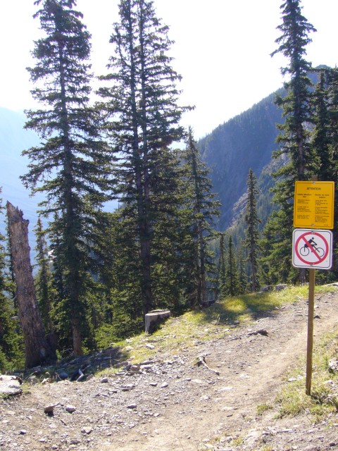 Canada-Alberta-Banff_NPark-Sulphur_Mtn-Trail_2112x2816.jpg