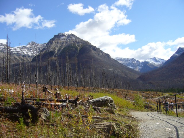 Canada-British_Columbia-Kootenay_NPark-Marble_Canyon-Burned_forrest_2816x2112.jpg