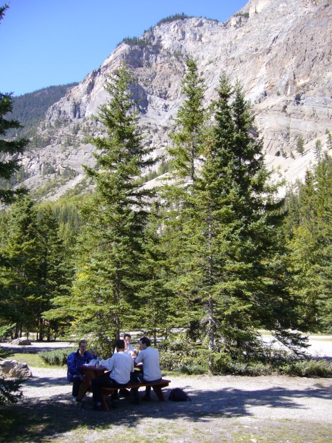 Canada-British_Columbia-Yoho_NPark-Group_resting_2112x2816.jpg