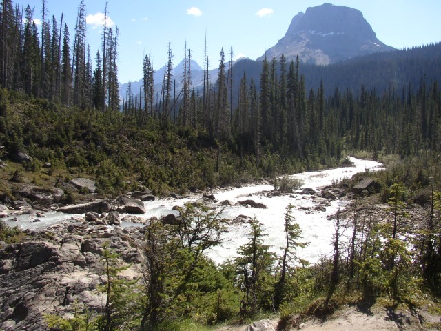 Canada-British_Columbia-Yoho_NPark-Yoho_river_1_1984x1488.jpg