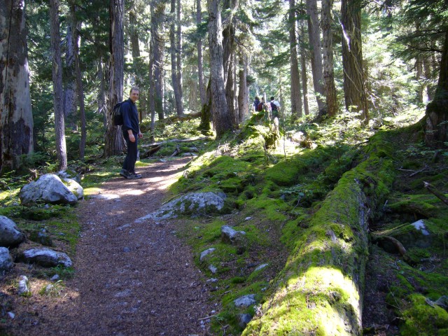 Canada-British_Columbia-Glacier_NPark-Great_Glacier_Trail-Christian_2816x2112.jpg