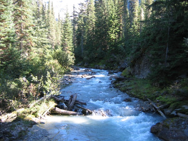 Canada-British_Columbia-Glacier_NPark-Great_Glacier_Trail-River_2272x1704.jpg