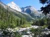 Canada-British_Columbia-Glacier_NPark-Great_Glacier_Trail-Valley_3_2272x1704_thumb.JPG