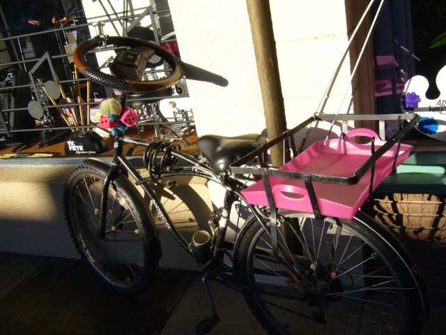 Canada-British_Columbia-Revelstoke-Strange_bicycle_2816x2112.jpg