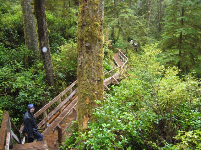 Canada-British_Columbia-Pacific_Rim_NPark-Rain_forrest_loop-Boardwalk_3_2816x2112.jpg