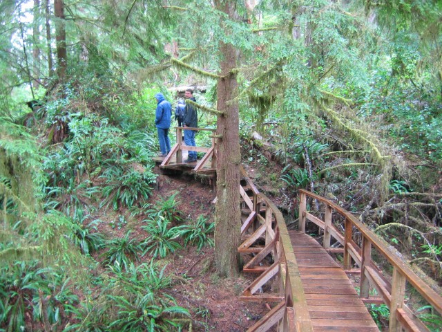 Canada-British_Columbia-Pacific_Rim_NPark-Schooner_Trail-Boardwalk_5_2272x1704.jpg