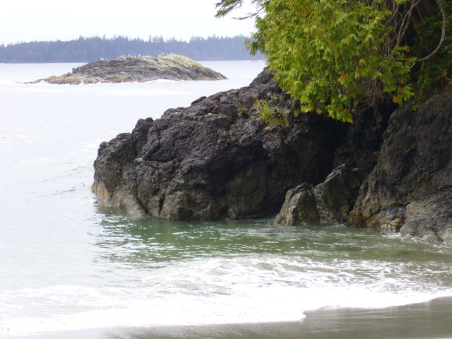 Canada-British_Columbia-Pacific_Rim_NPark-Willowbrae_Trail-Beach_and_isles_2816x2112.jpg