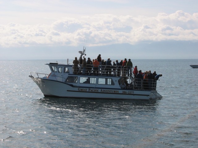 Canada-British_Columbia-Victoria_Island-Whale_watching_boat_5_2272x1704.jpg