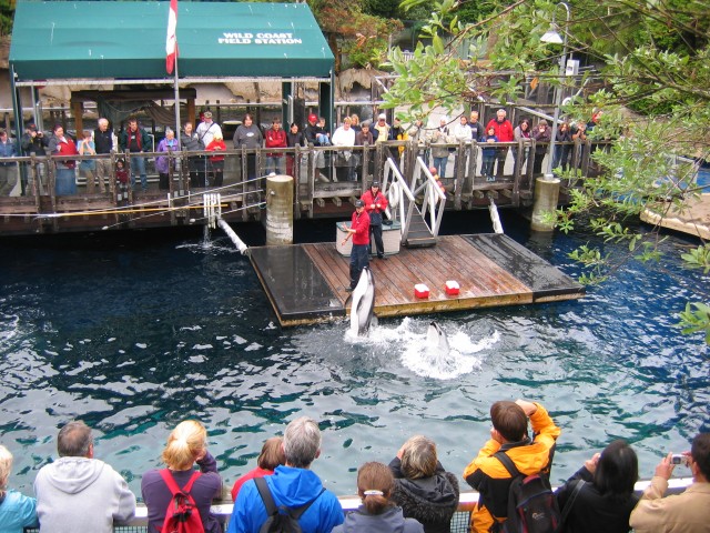 Canada-British_Columbia-Vancouver-Aquarium-Dolphins_8_2272x1704.jpg