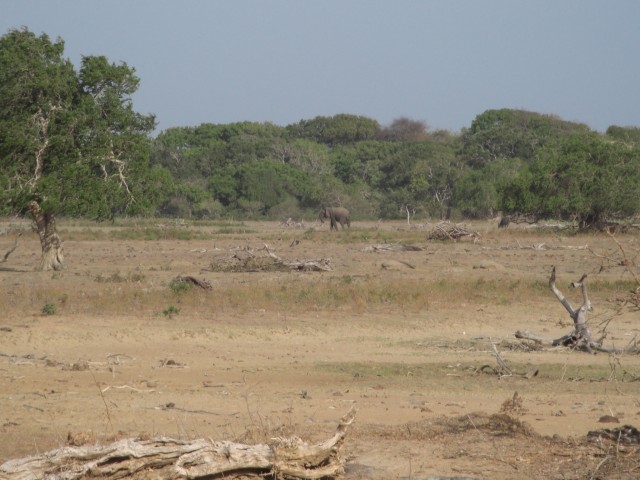 CIMG1673.JPG