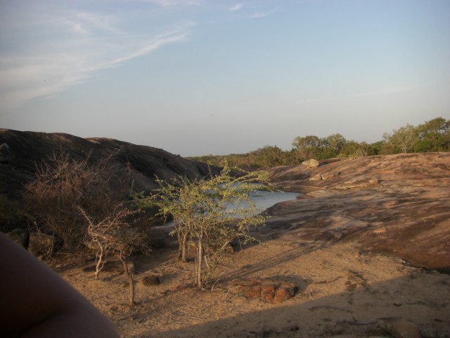 CIMG1695.JPG