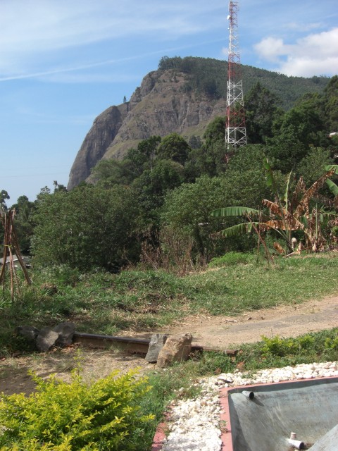 CIMG1764.JPG