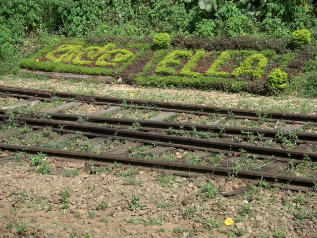 CIMG1765.JPG