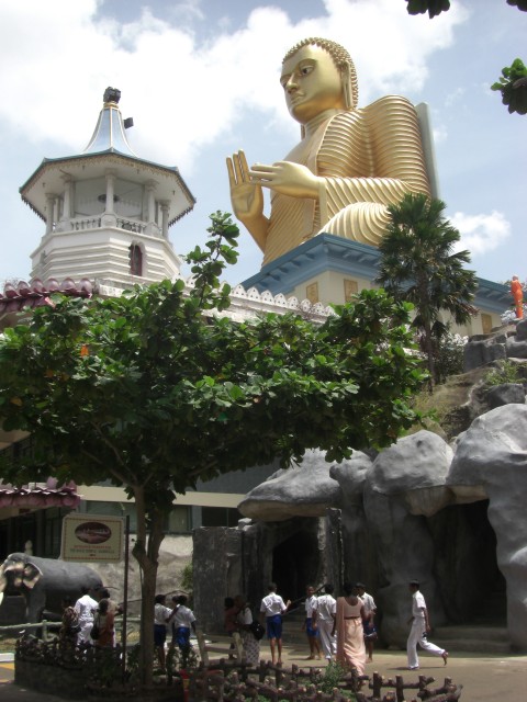 CIMG2005.JPG