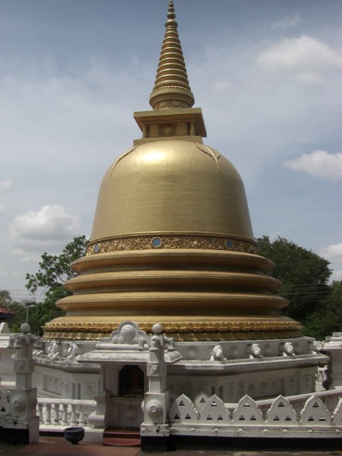 CIMG2006.JPG