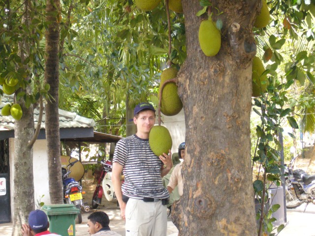CIMG2009a.JPG