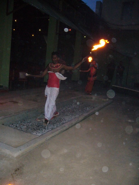CIMG2053d.JPG