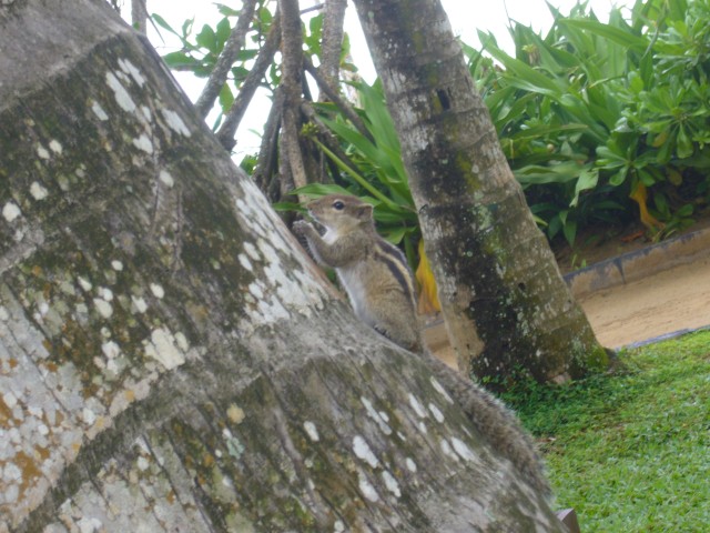 CIMG2162a.JPG